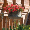 Gstaad
