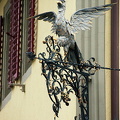 Interlaken (760访问量) Interlaken