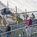 Kleine Matterhorn, Zermatt (1084 visitas) Kleine Matterhorn, Zermatt