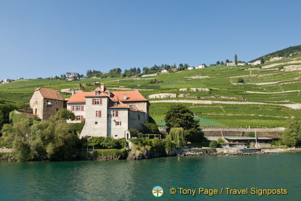 Lac Leman Cruise to Montreux