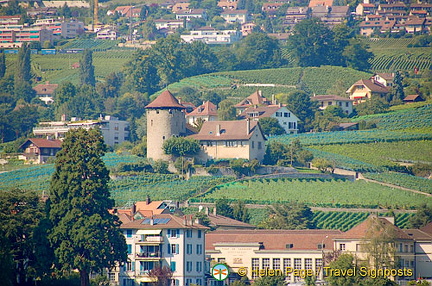 Lac Leman cruise to Montreux