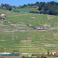 Lac Leman cruise to Montreux (870 heimsóknir) Lac Leman cruise to Montreux