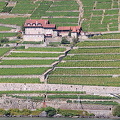 Lac Leman cruise to Montreux (865 heimsóknir) Lac Leman cruise to Montreux