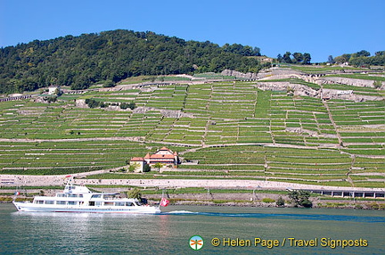 Lac Leman cruise to Montreux