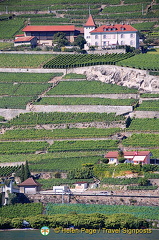 Lac Leman cruise to Montreux