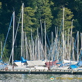 Lucerne (1095 visitas) Lucerne