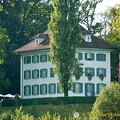 Lucerne (1075 visitas) Lucerne