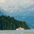 Lucerne (1015 visitas) Lucerne