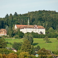 Lucerne (957 visite) Lucerne