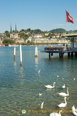 Lucerne