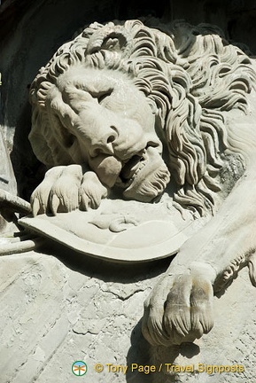 Lucerne (893 visits) Lucerne