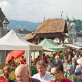 Lucerne (815 visits) Lucerne