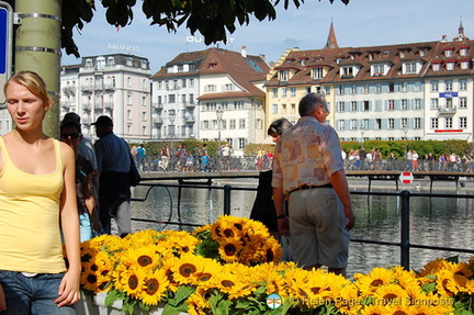 Lucerne