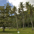 Moorea, Tahiti (1517 visits) Moorea, Tahiti Moorea, Tahiti