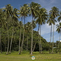 Moorea, Tahiti (989 besök) Moorea, Tahiti Moorea, Tahiti