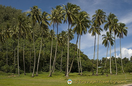 Moorea, Tahiti