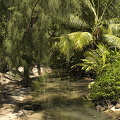 Moorea, Tahiti (899 besök) Moorea, Tahiti Moorea, Tahiti