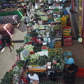 Papeete, Tahiti (1231 visits) Papeete, Tahiti Papeete, Tahiti