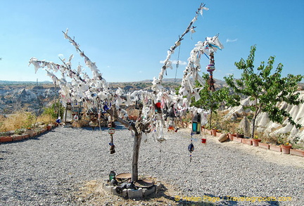 Not sure what the symbol of tying bits of paper on the tree is?