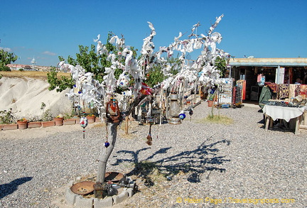 Tree at the Zuhal giftshop