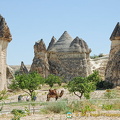 If you don't feel like walking in Monks Valley, there's always a camel nearby!