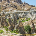 AJP 0742