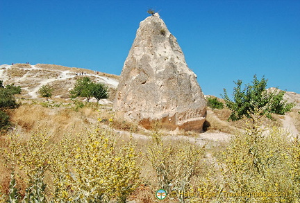 A cone shape fairy chimney which is one whose head has dropped off