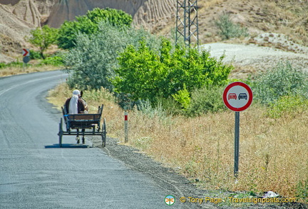 Donkey carriage