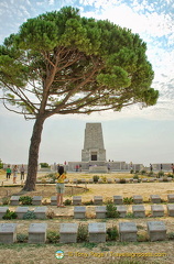 This lone pine marks the site of the 1915 Battle of Lone Pine