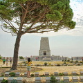 This lone pine marks the site of the 1915 Battle of Lone Pine