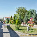 AJP 0639