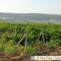 Balaklava (1066 visits) Balaklava