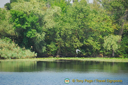 Kherson and Fisherman's Island