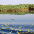 Fisherman's Island, Kherson (796 visits) Fisherman's Island, Kherson