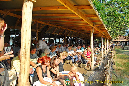 Cossack Horse Show, Khortisa