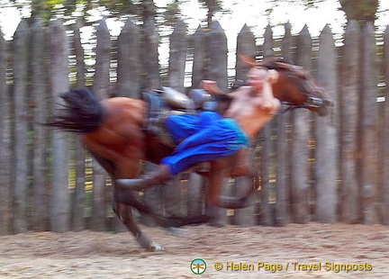 Cossack Horse Show