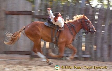 Cossack Horse Show