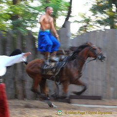 Cossack Horse Show