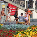 Odessa, Ukraine (926 بازدید) Odessa, Ukraine