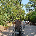 Malakoff Hill: Siege of Sevastopol