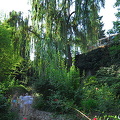 Chekhov's House, Yalta (843 visits) Chekhov's House, Yalta