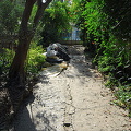 Chekhov's House, Yalta (被訪問過 966 次) Chekhov's House, Yalta