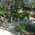 Chekhov's House, Yalta (被訪問過 985 次) Chekhov's House, Yalta