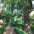 Chekhov's House, Yalta (被訪問過 939 次) Chekhov's House, Yalta