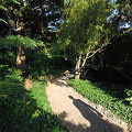 Chekhov's House, Yalta (被訪問過 1026 次) Chekhov's House, Yalta