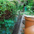 Chekhov's House, Yalta (被訪問過 1008 次) Chekhov's House, Yalta