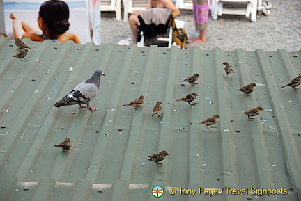 Sun and Sea: Yalta's Beaches