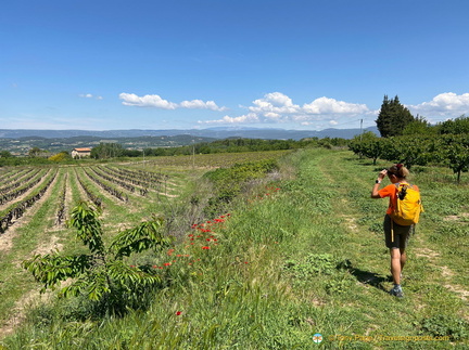 Bonnieux-Roussillon IMG 0023