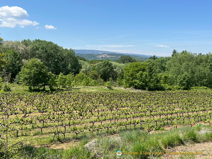 Bonnieux-Roussillon IMG 0024