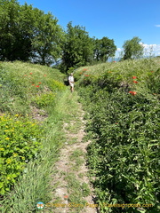 A beautiful and green path